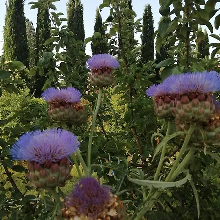 Bed & Breakfast La Giara Di