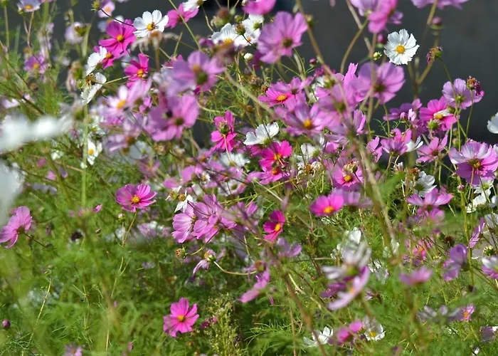 Bed and breakfast La Giara Di Asís